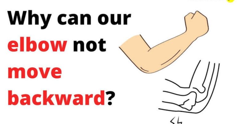 Why Can Our Elbow Not Move Backwards